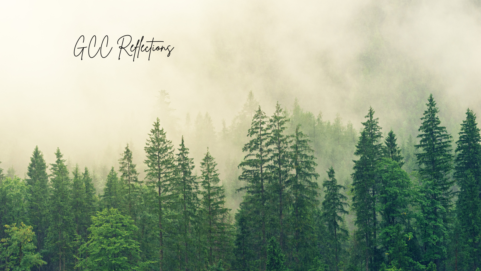 GCC Reflections