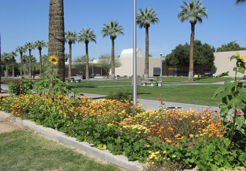 GCC mall on a sunny day